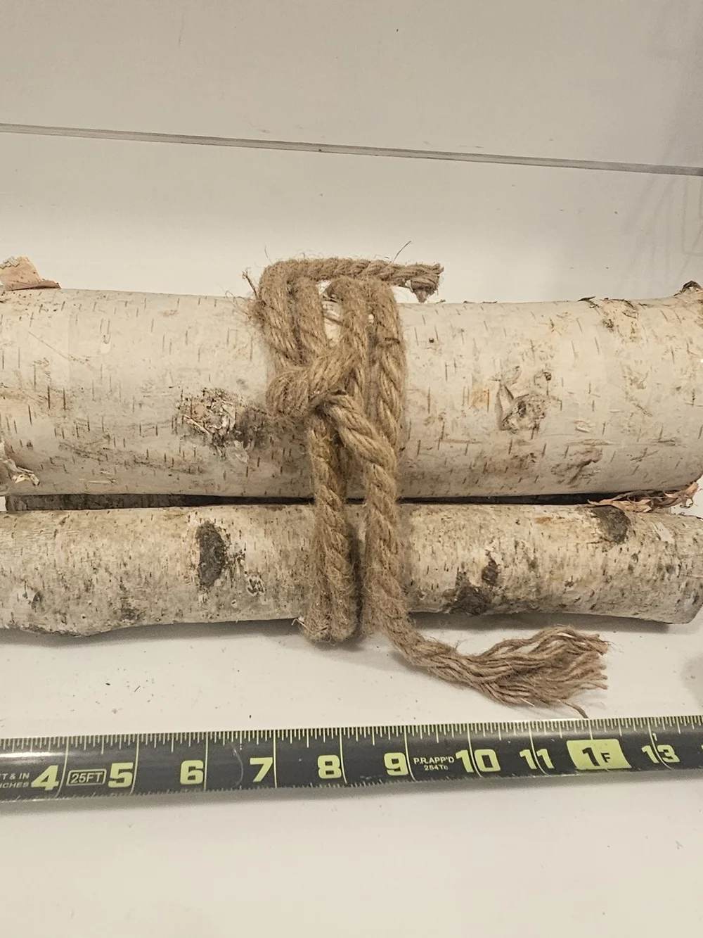Bundle of White Birch Logs with Rope Accent